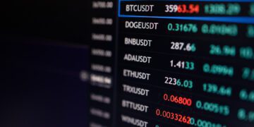 Analyzing the Volatility in Cryptocurrency Markets