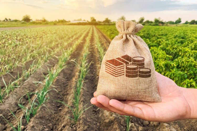 Investing in the Future of Food: The Rise of AgriTech Startups