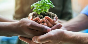 Exploring the Evolution of Social Impact Investing