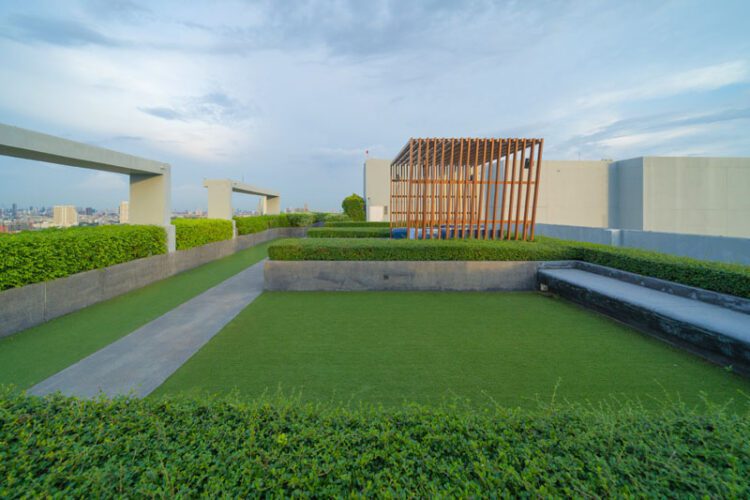 Luxury Lodgings: The Rise of Boutique Hotels and Resorts in India