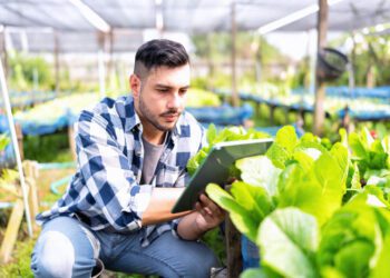Digital Agriculture: How Tech Innovations are Revolutionizing Farming