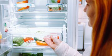 Innovations in Cooling: The Next Generation of Refrigerators and Air Conditioners