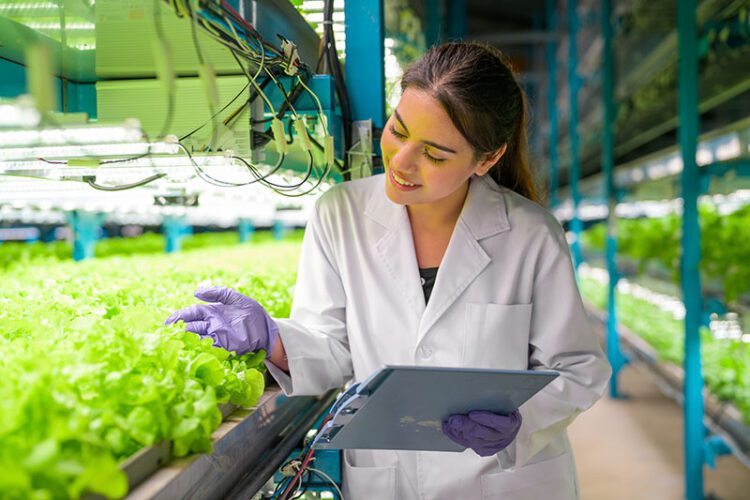 Automation and AI are Reshaping the Agricultural Landscape