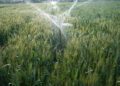 Revolutionizing Indian Agriculture