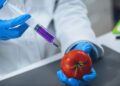 The Impact of Genetically Modified Crops on Modern Farming