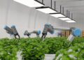 The Role of Modern Technology and Sustainable Practices