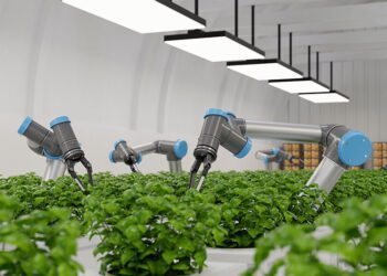 The Role of Modern Technology and Sustainable Practices