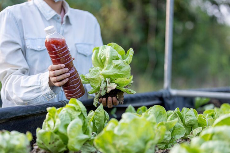 Green Chemistry: The Path to Reduced Environmental Impact