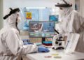 Bridging Biology and Tech: The Interplay of Biotech in Modern Healthcare