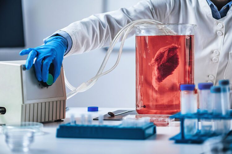 From Lab to Life: Biotech Innovations Shaping Our Future