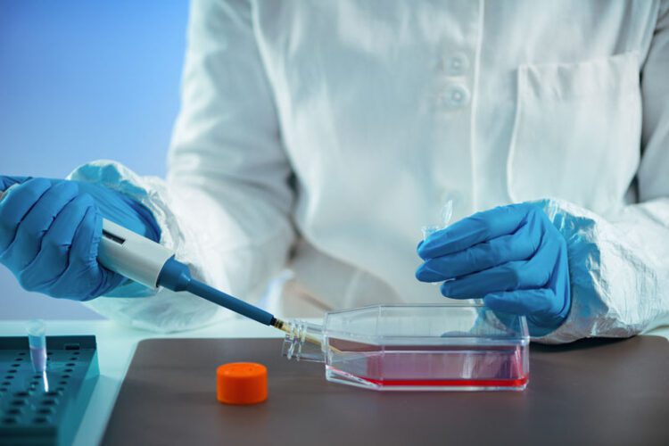 From Lab to Label: The Intricate Journey of Drug Development and Approval