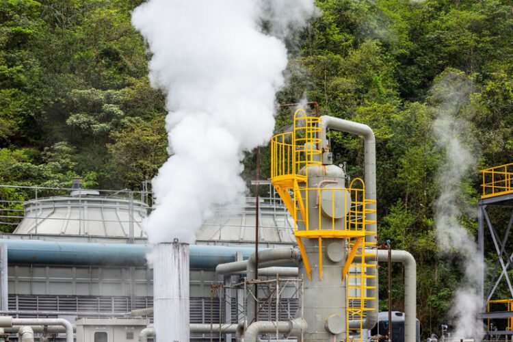 Harnessing the Future: The Business Potential of Renewable Energy