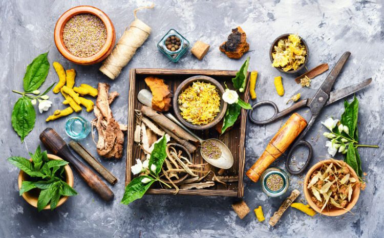 Natural Nurturing: The Surge of Herbal and Alternative Medicine