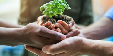 From Policy to Profit: How Government Incentives are Boosting Renewable Investments