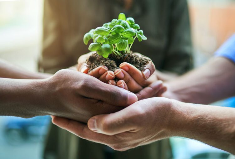 From Policy to Profit: How Government Incentives are Boosting Renewable Investments
