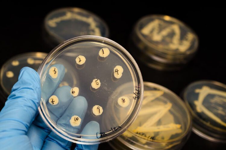 Pharma's Future Frontiers: Predicting the Next Wave of Therapeutic Discoveries