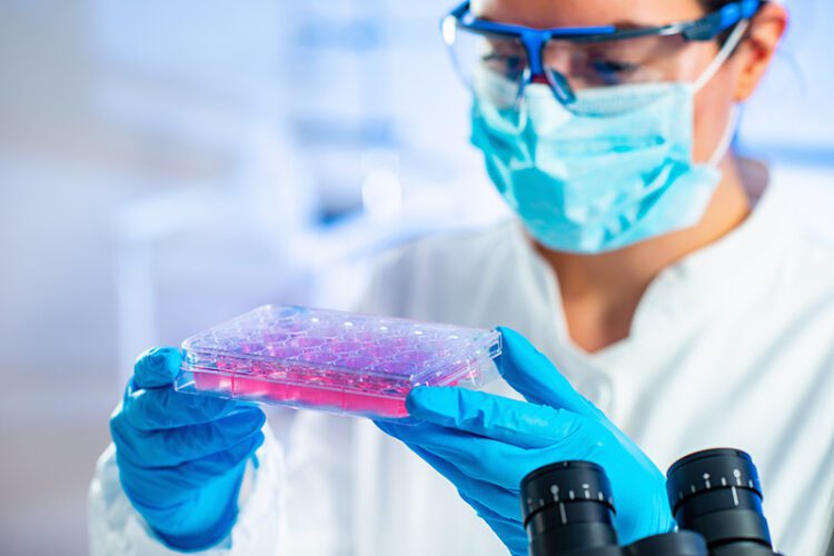 Cellular Wonders: The Promise of Stem Cell Research and Therapies