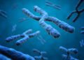 Beyond the Genome: The Expanding Horizons of Epigenetics