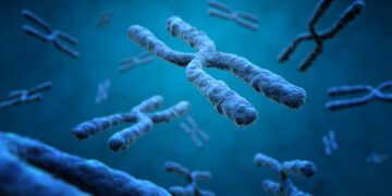 Beyond the Genome: The Expanding Horizons of Epigenetics