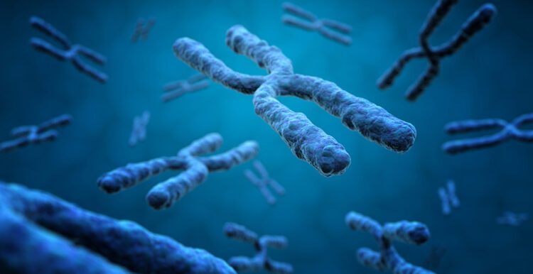 Beyond the Genome: The Expanding Horizons of Epigenetics