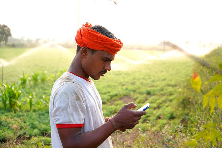 Rural Reach: Bridging the Digital Divide with Innovative Telecom Solutions