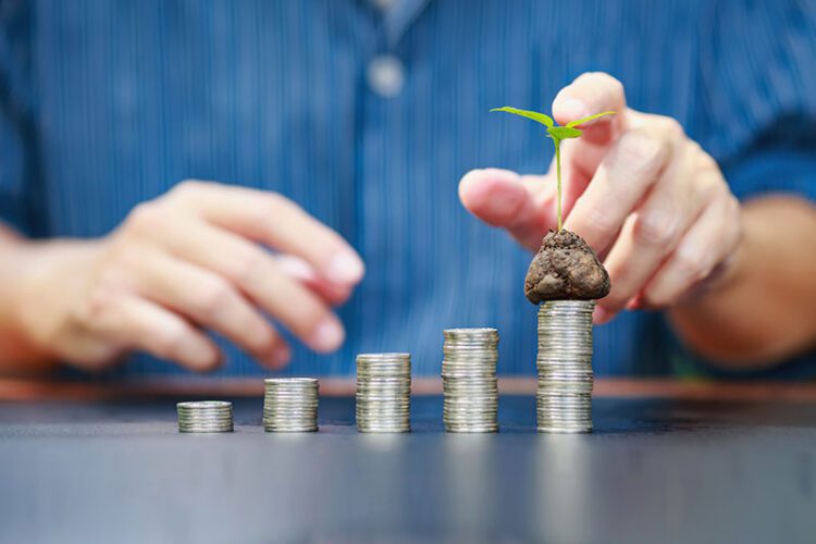 Navigating the Realm of High-Performance Stocks: A Guide to Sustainable Investing